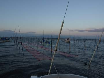 20091017ariake_noriami.JPG 20091017ariake_noriami.JPG