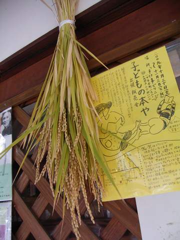 20091019kuwano_inekari2.JPG 20091019kuwano_inekari2.JPG