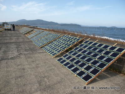 海苔の天日乾燥 有明と違い、浜辺から歩いてける漁場で海苔を網から手摘み、御簾に一枚一枚乗せていき、天日で乾燥させていきます。朝の7時からはじめましたが、天候にも恵まれ14時ころには乾燥が終わり、手ではずして収穫が終わりました。<br />
