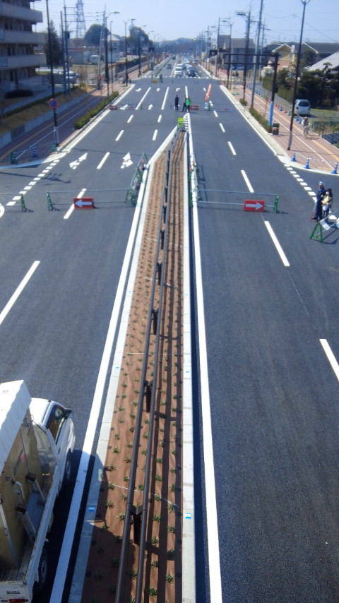 CAI_2210.jpg CAI_2210.jpg