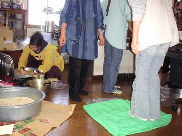 茹でた大豆を踏んで潰しているところです。緑のバスタオルの下は、大豆。 茹でた大豆を踏んで潰しているところです。緑のバスタオルの下は、大豆。
