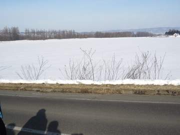 orikasahatake.JPG orikasahatake.JPG