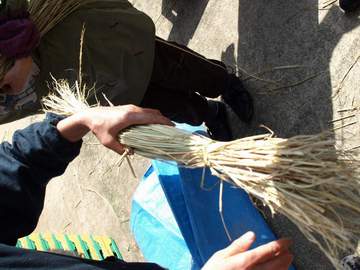 20090218kibiru.JPG 20090218kibiru.JPG