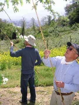 20050505nagano_yoshinori.JPG